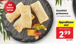 Lidl Involtini primavera offerta
