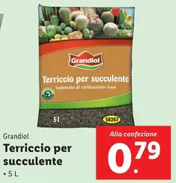 Lidl Grandiol Terriccio per succulente offerta