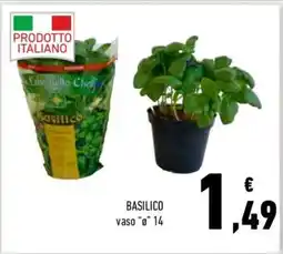 Conad Basilico offerta