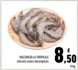 Conad Mazzancolla Tropicale offerta