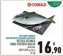 Conad RICCIOLA OCEANICA CONAD PERCORSO QUALITÀ offerta