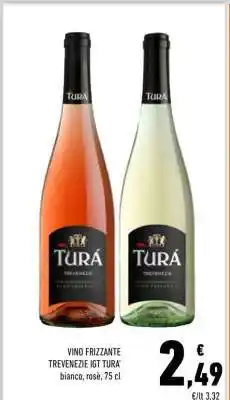 Conad Vino Frizzante Trevenezie IGT Turà offerta