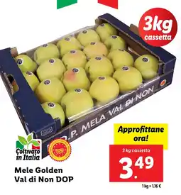Lidl Mele Golden Val di Non DOP offerta