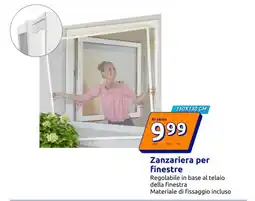 Action Zanzariera per finestre offerta