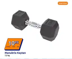 Action Manubrio Kaytan offerta