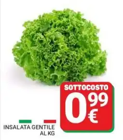 Supermercati Gulliver Insalata gentile offerta