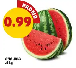 PENNY Anguria offerta