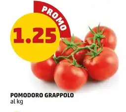 PENNY Pomodoro grappolo offerta