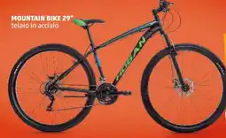 PENNY Mountain bike 29" offerta