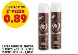 PENNY Lacca forte SPLEND'OR offerta