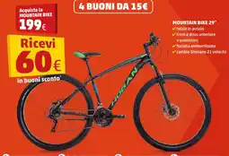 PENNY Mountain bike 29" offerta