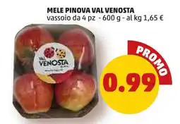 Mele pinova VAL VENOSTA