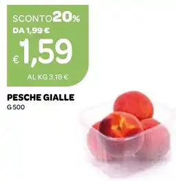Ekom Pesche gialle offerta