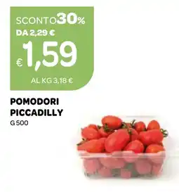 Ekom Pomodori piccadilly offerta