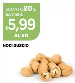 Ekom Noci guscio offerta
