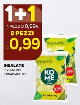 Ekom Insalate diversi tipi e grammature 2 pezzi offerta