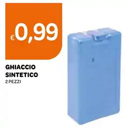 Ekom Ghiaccio sintetico 2 pezzi offerta