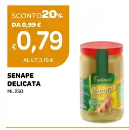Ekom Senape delicata offerta