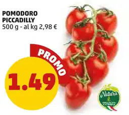 PENNY Pomodoro piccadilly offerta