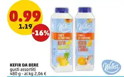 PENNY Welless kefir da bere offerta
