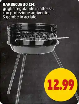 PENNY Barbecue 30 cm offerta