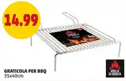 PENNY Graticola per bbq offerta