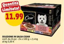 PENNY Selezione in salsa CESAR offerta