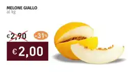 Prezzemolo e Vitale Melone giallo offerta