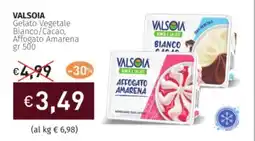 Prezzemolo e Vitale VALSOIA Gelato Vegetale Bianco/Cacao, Affogato Amarena offerta