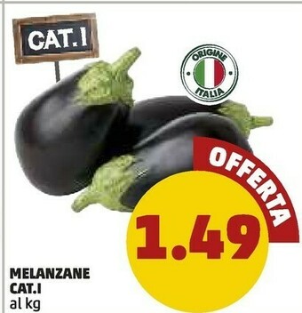 PENNY Cat.i melanzane offerta