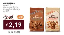 Prezzemolo e Vitale GALBUSERA Cereal G Granola e Frolla Cioccolato/Frutta offerta