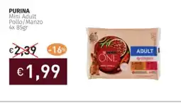 Prezzemolo e Vitale PURINA Mini Adult Pollo/Manzo offerta