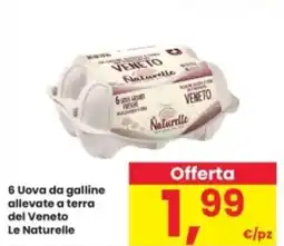 Interspar 6 Uova da galline allevate a terra del Veneto Le Naturelle offerta