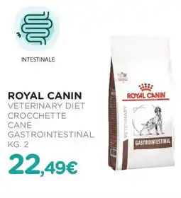 Arcaplanet Royal canin veterinary diet crocchette cane gastrointestinal offerta
