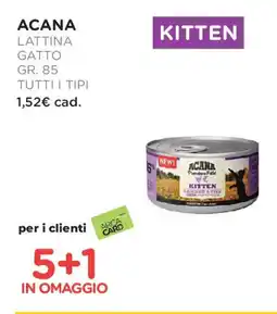 Arcaplanet Acana lattina gatto tutti i tipi offerta