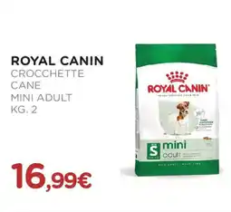 Arcaplanet Royal canin crocchette cane mini adult offerta