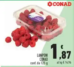 Conad Lamponi offerta