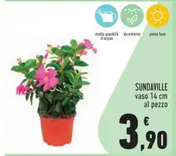 Conad SUNDAVILLE offerta