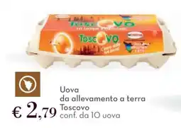 Conad Uova da allevamento a terra Toscovo offerta
