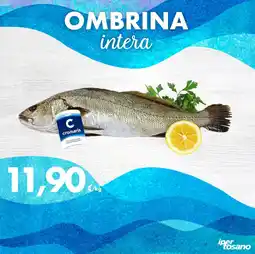 Iper Tosano OMBRINA intera offerta