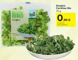 Carrefour Songino Carrefour Bio offerta