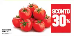 Panorama Pomodoro ramato offerta