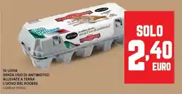 Panorama 10 uova senza uso di antibiotici allevate a terra L'UOVO DEL PODERE c offerta
