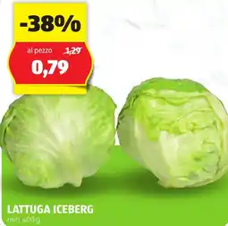 ALDI Lattuga iceberg offerta