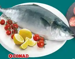 Conad Ricciole percorso qualità CONAD offerta