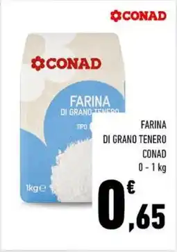 Conad Superstore Farina di grano TENERO offerta