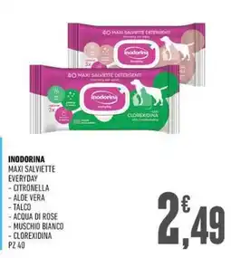 Ayoka Inodorina maxi salviette everyday offerta
