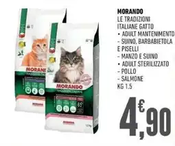 Ayoka Morando le tradizioni italiane gatto offerta