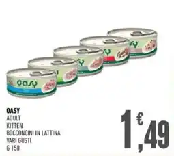 Ayoka Oasy adult kitten bocconcini in lattina vari gusti offerta