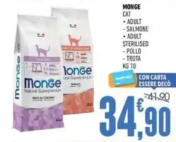 Ayoka MonĜe Cat offerta